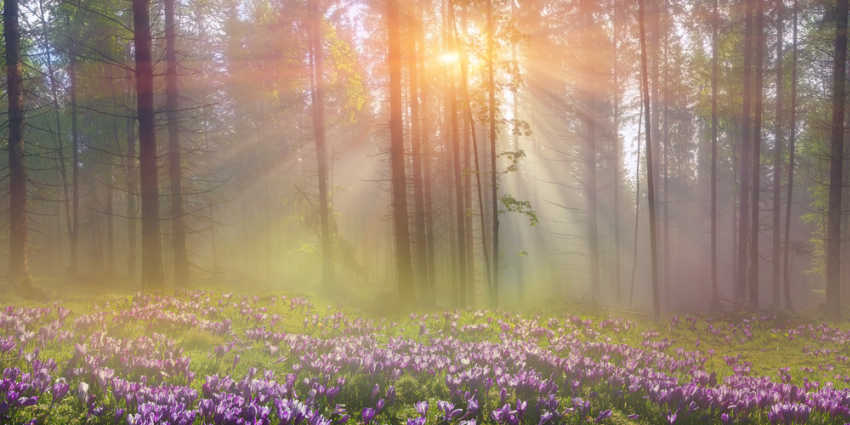 Transform Your Life The Miracle Morning Documentary